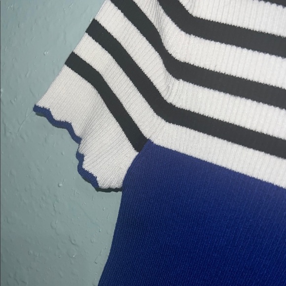 Zara Black, White, and Blue Striped Knit Top - Picture 3 of 5